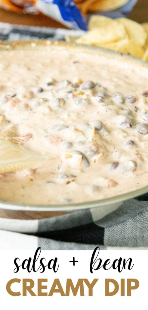 pin image for creamy salsa bean dip recipe