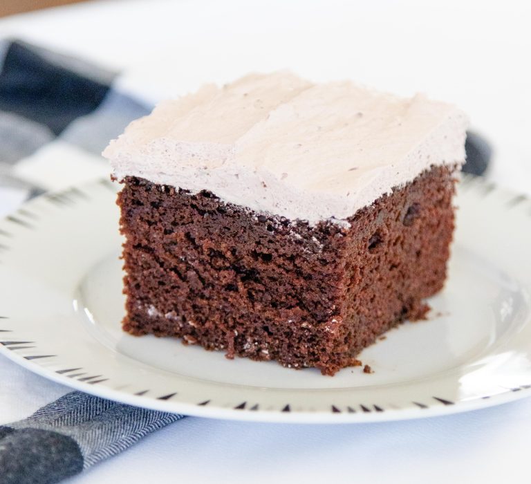 piece of chocolate cake with pudding icing on a white plate