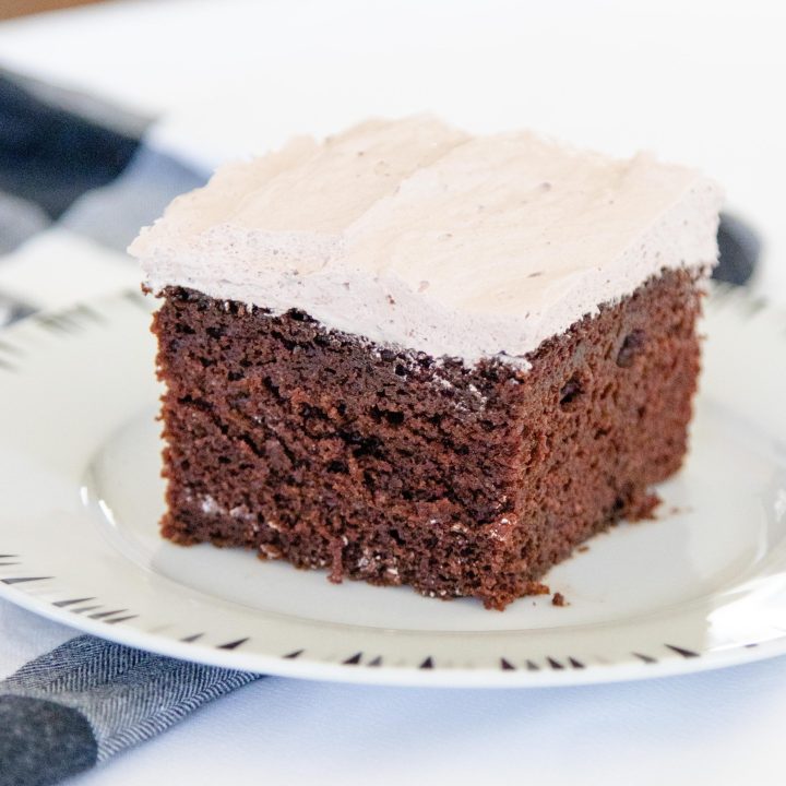 piece of chocolate cake with pudding icing on a white plate