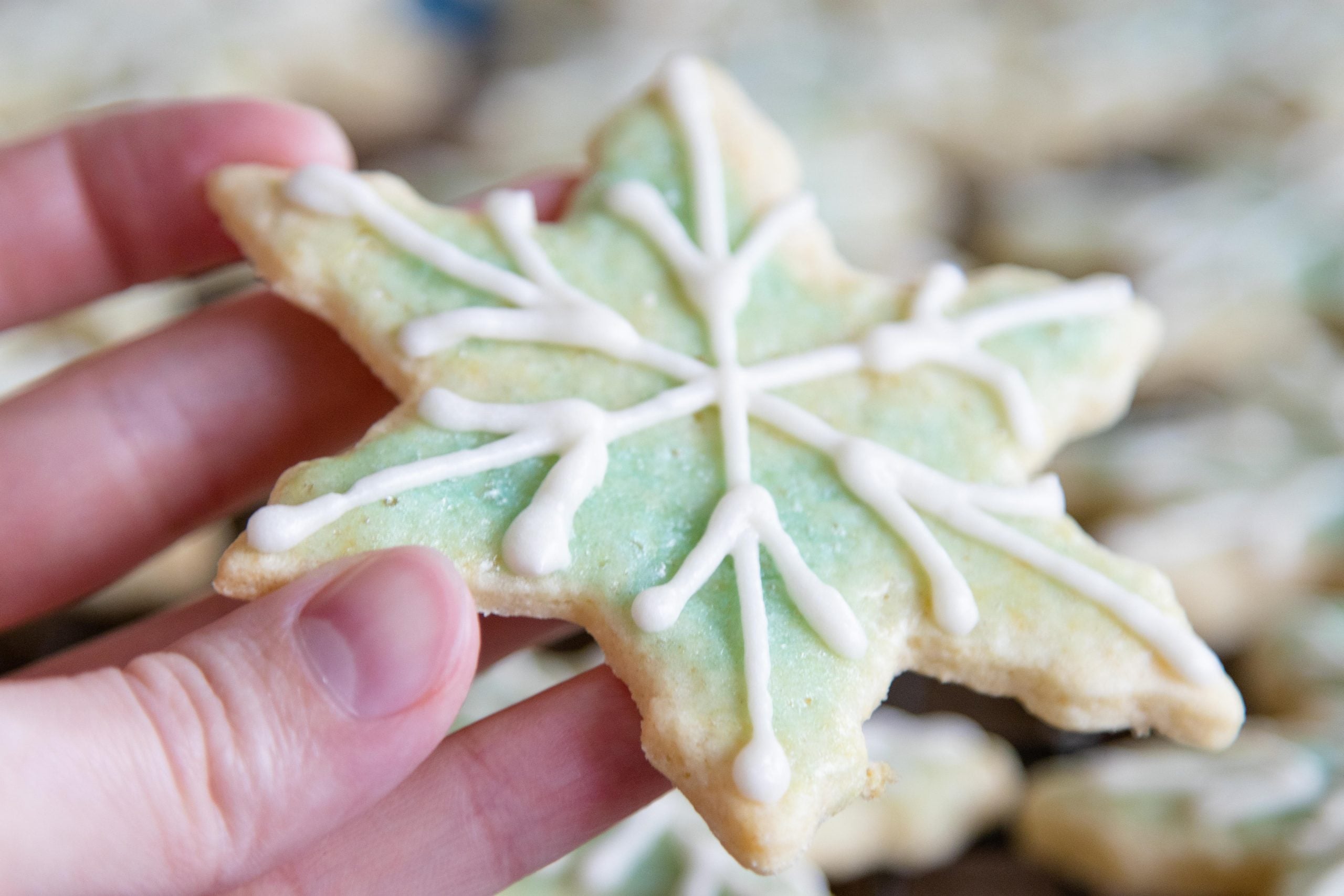 hand holding a painted sugar cookie