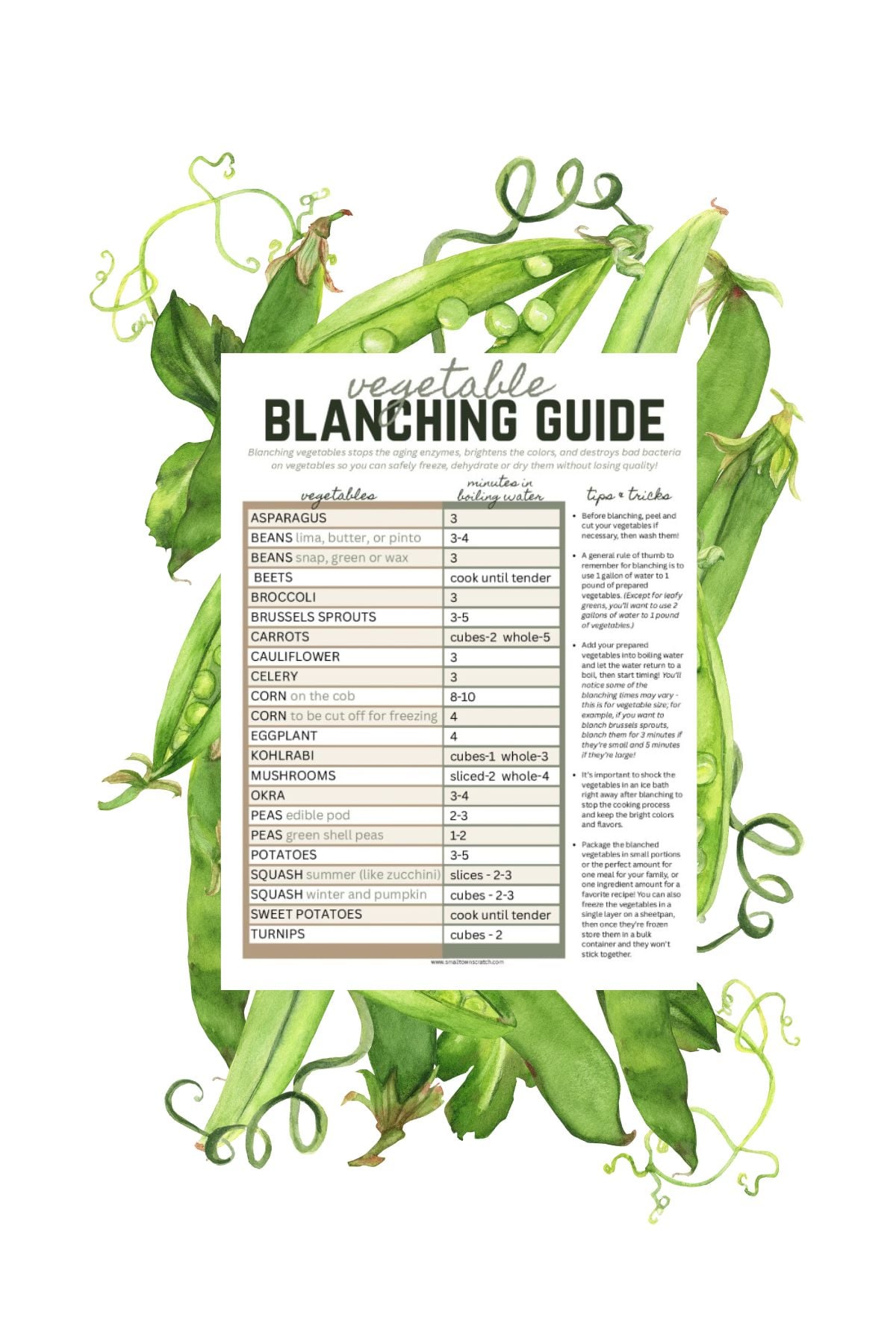 blanching & freezing guide printable image