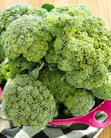 pink dish of broccoli sitting on the table