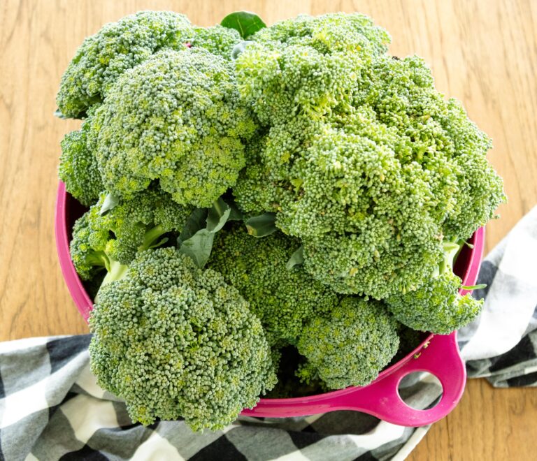 pink dish of broccoli sitting on the table