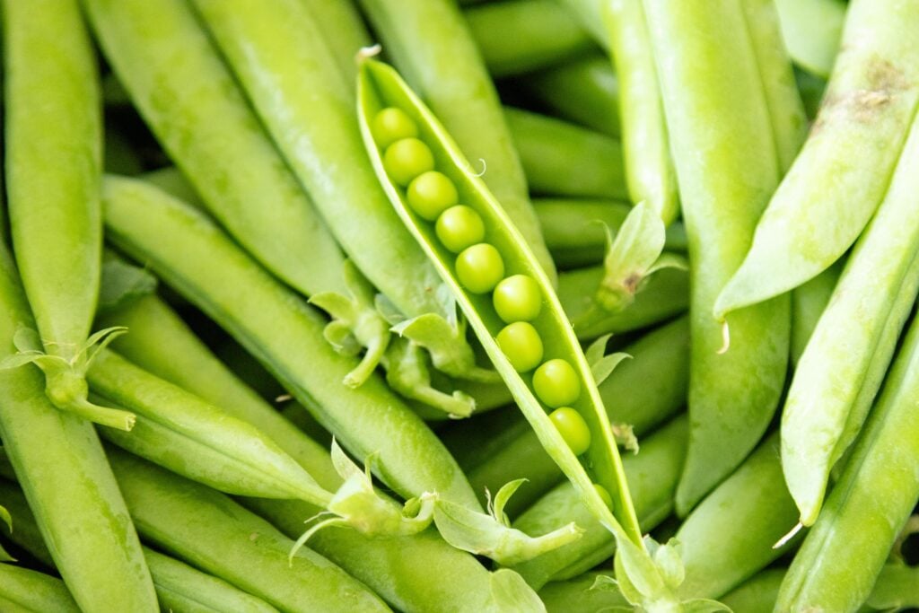 an open pea pod in a dish of pea pods
