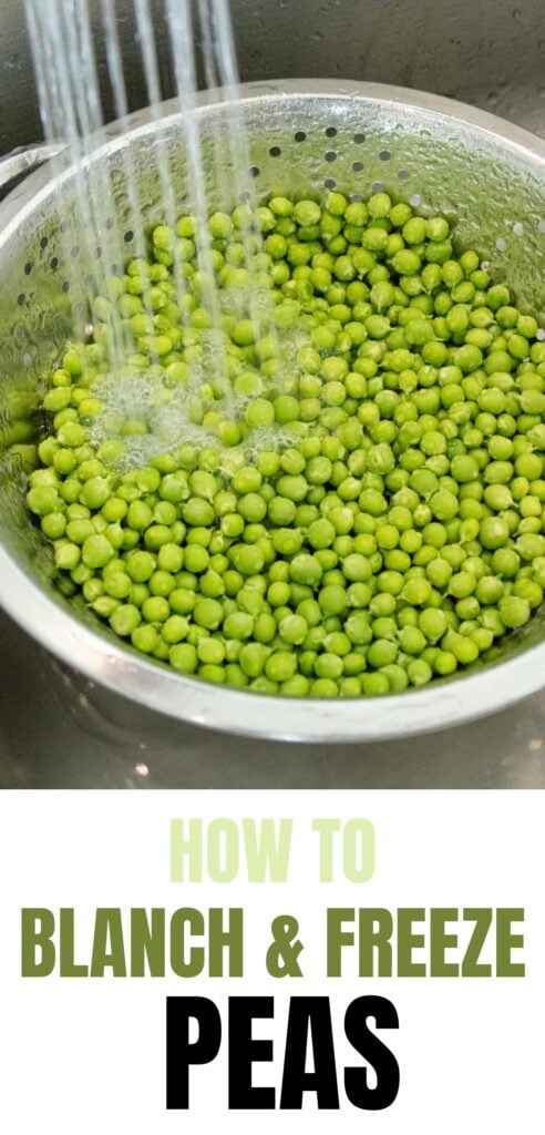 how to blanch and freeze peas pin image