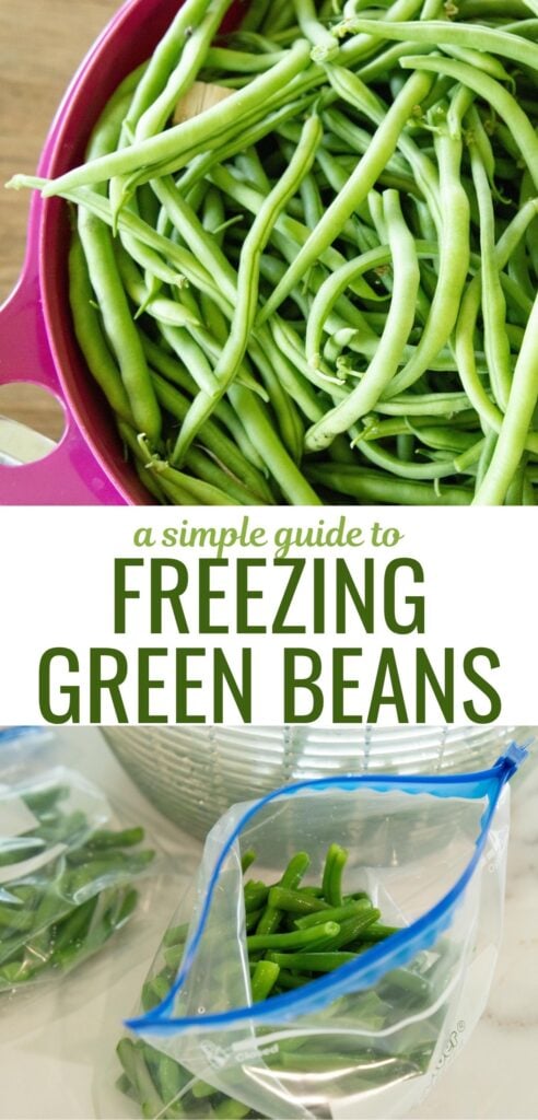 a simple guide to blanching and freezing green beans pin image
