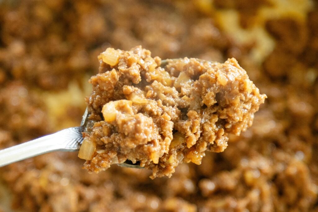a spoonfull of sloppy joe mixture