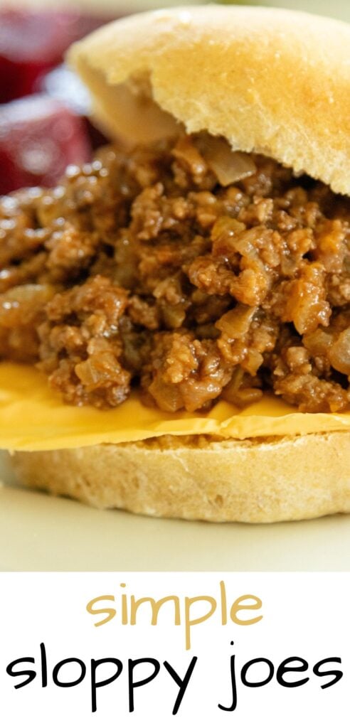 pin image for sloppy joes