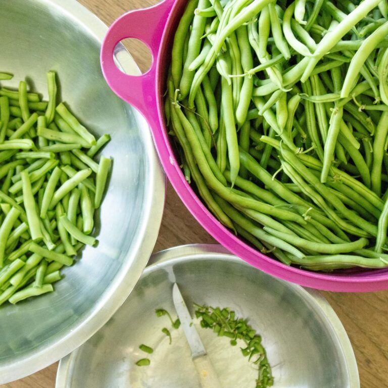 How to Freeze Green Beans from the Garden (with Blanching)