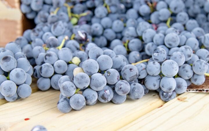 grapes setting on the porch