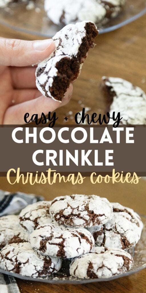 pin image for chocolate crinkle cookies