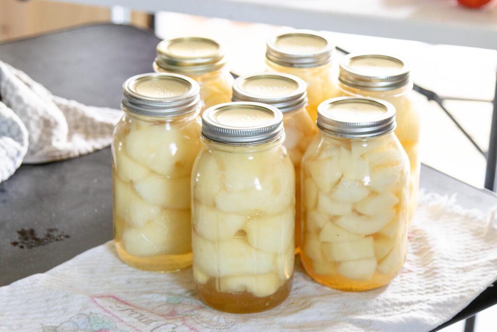 canned jars of pears setting on the table