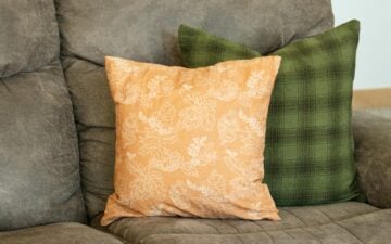 two pillows on a couch