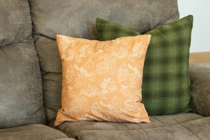 two pillows on a couch