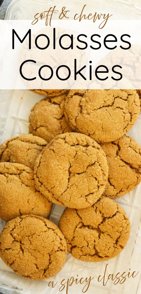 pin image for molasses cookies