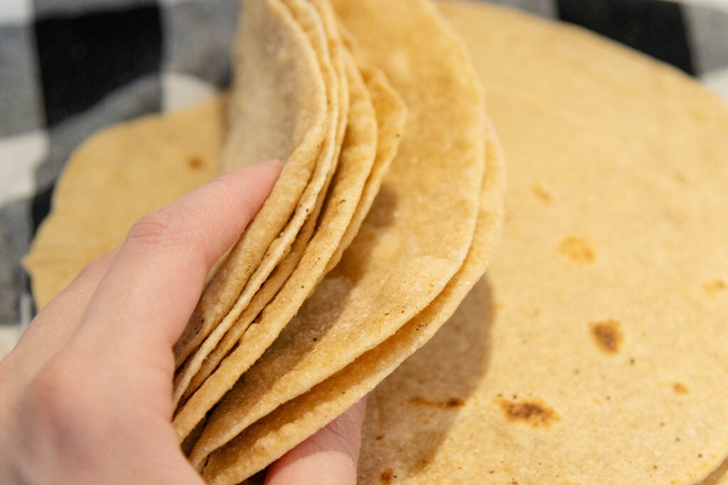 hand holding a stack of tortillas