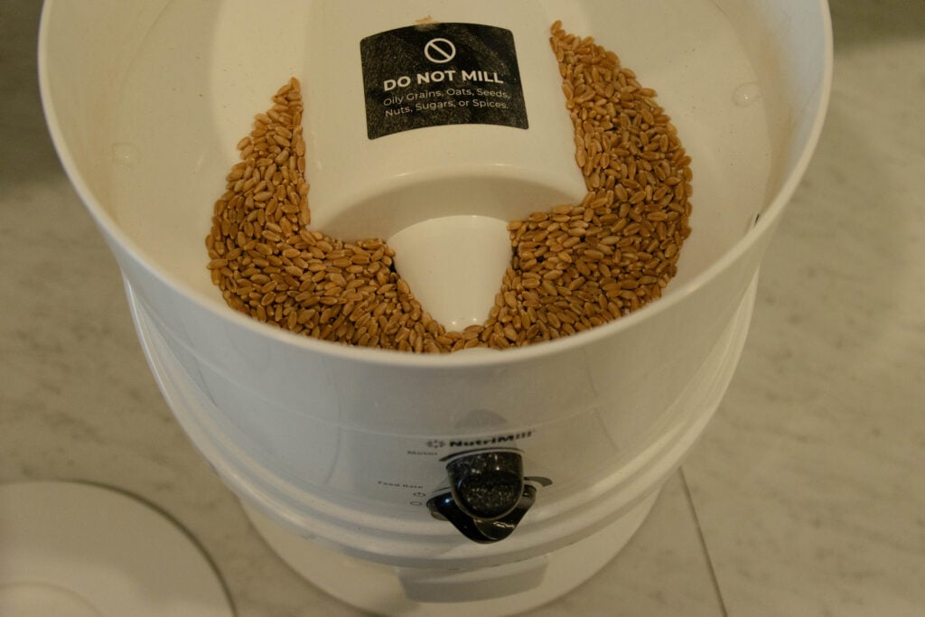 wheat in the hopper of the grain mill