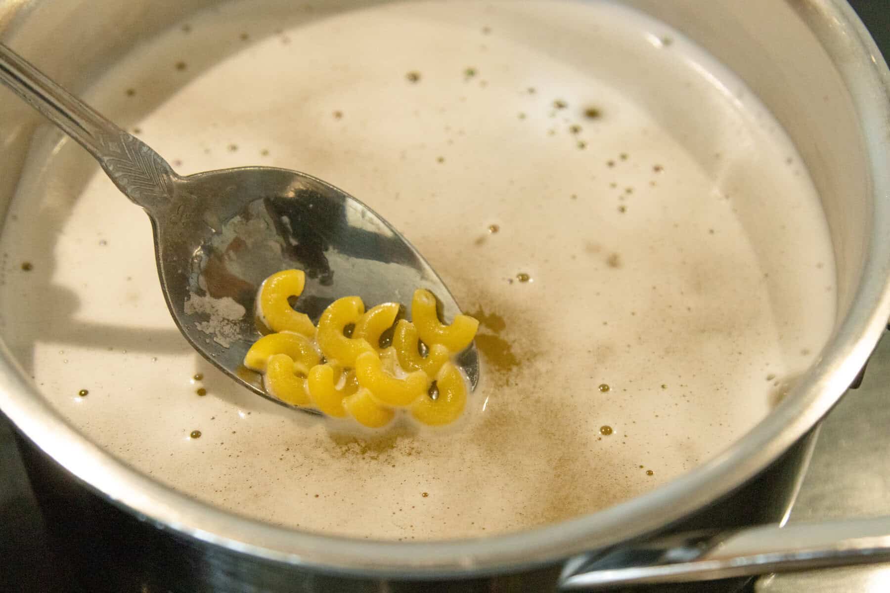 cooking the macaroni in a pot of water