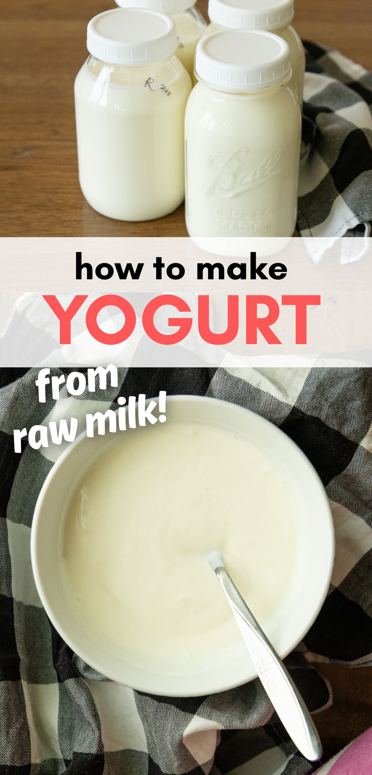 how to make yogurt from raw milk pin image