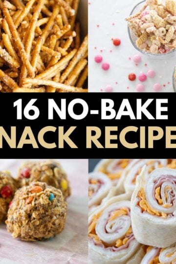 no bake snack recipes thumbnail image