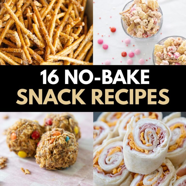 no bake snack recipes thumbnail image