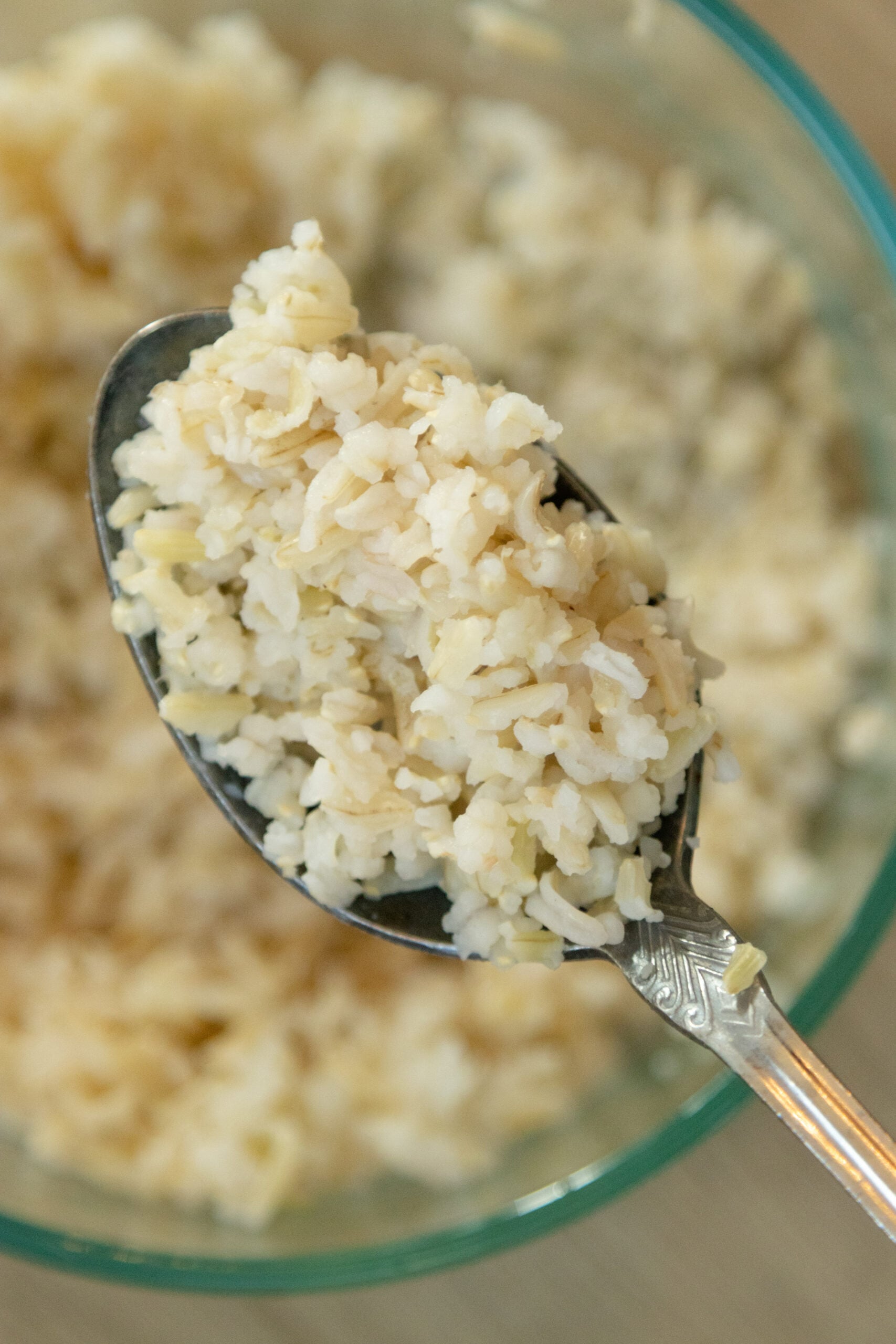 a spoon full of rice