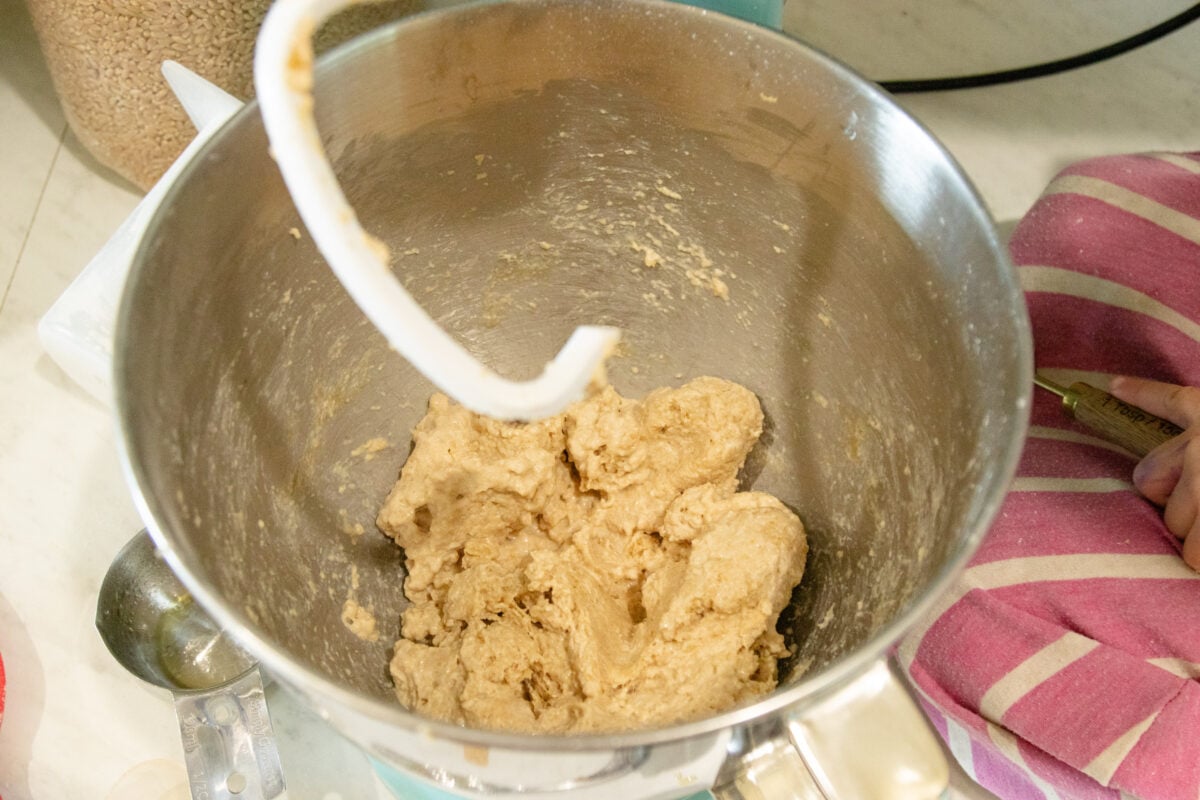 pizza dough in the mixer bowl