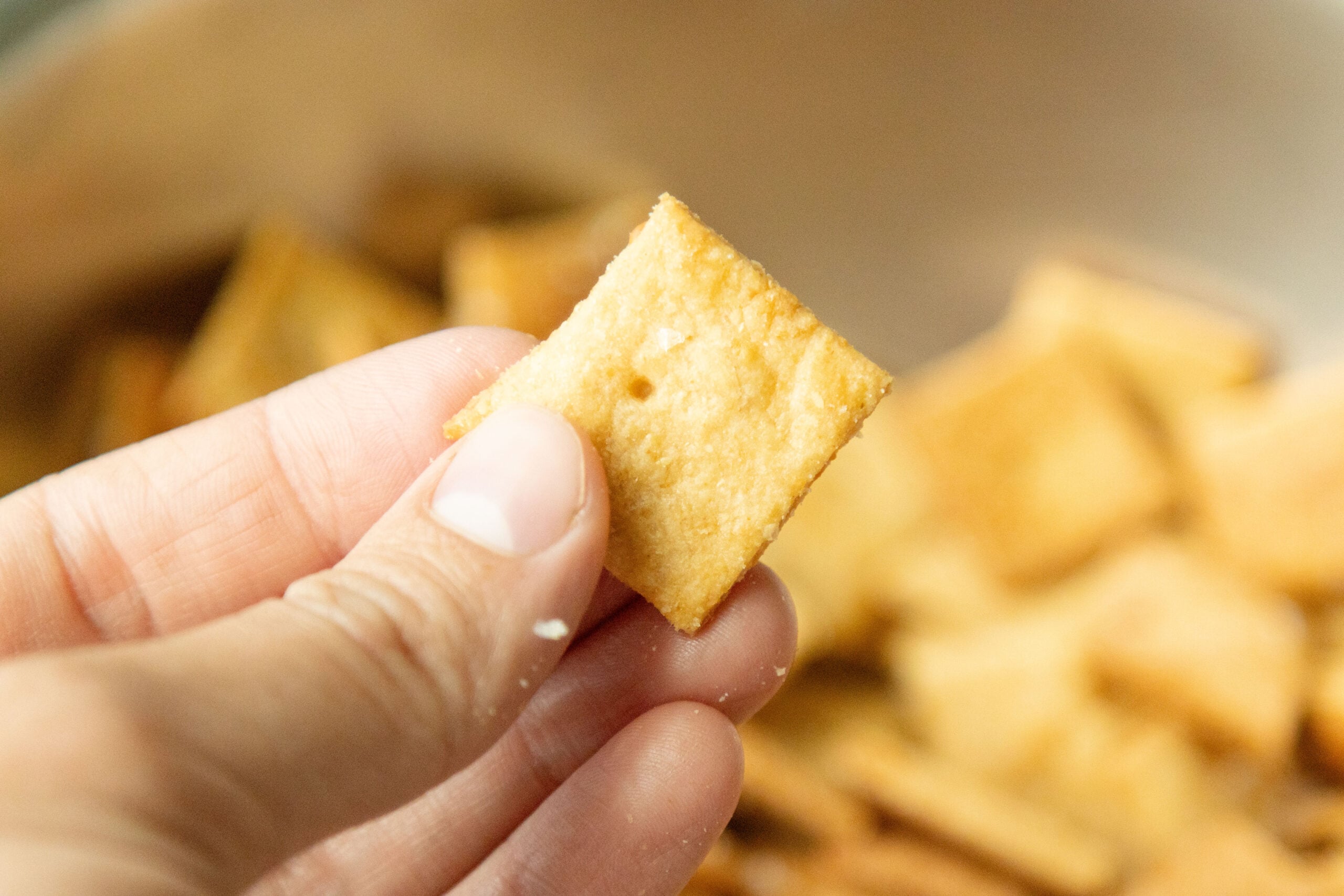 hand holding one cheddar cheese cracker