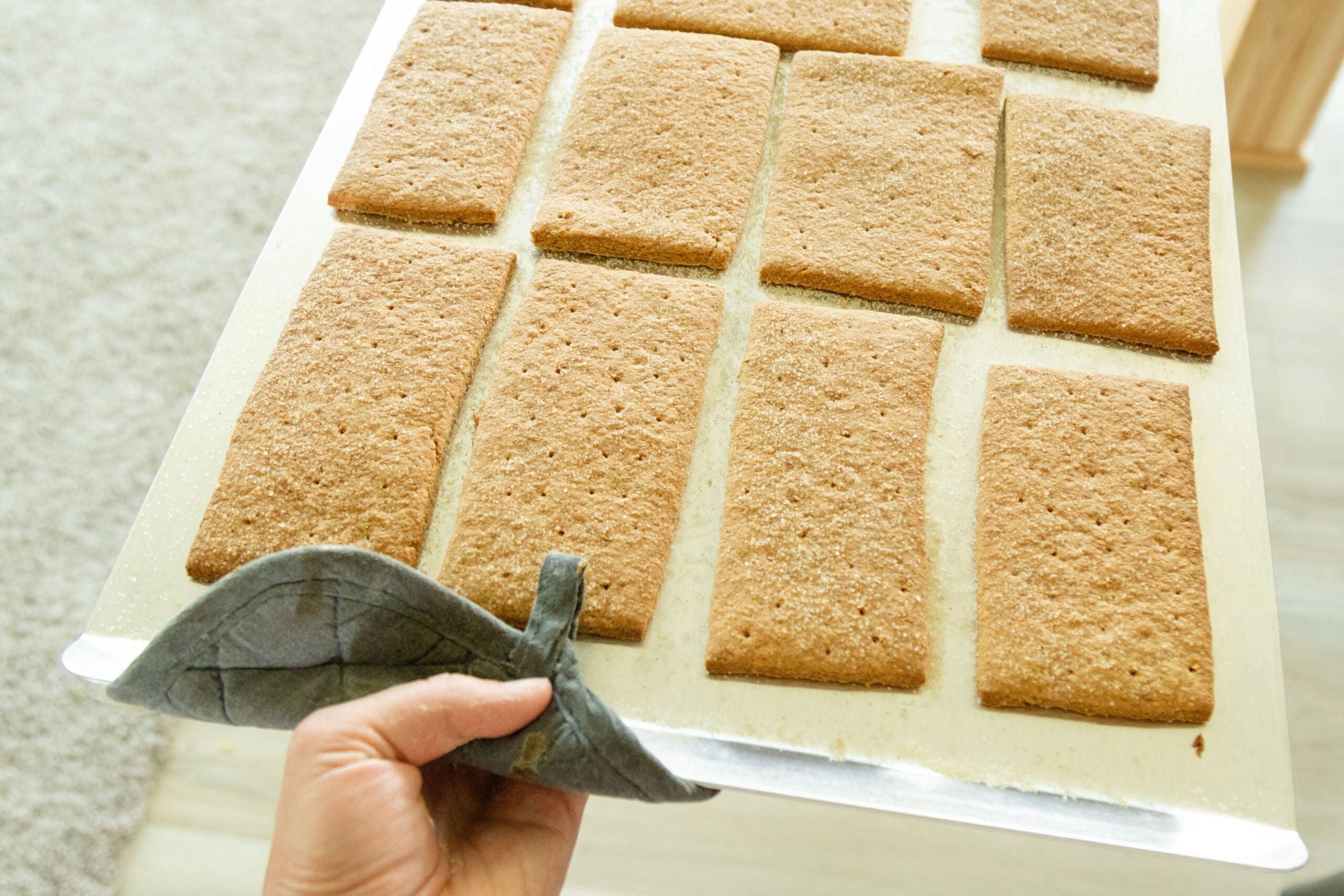 freshly baked graham crackers
