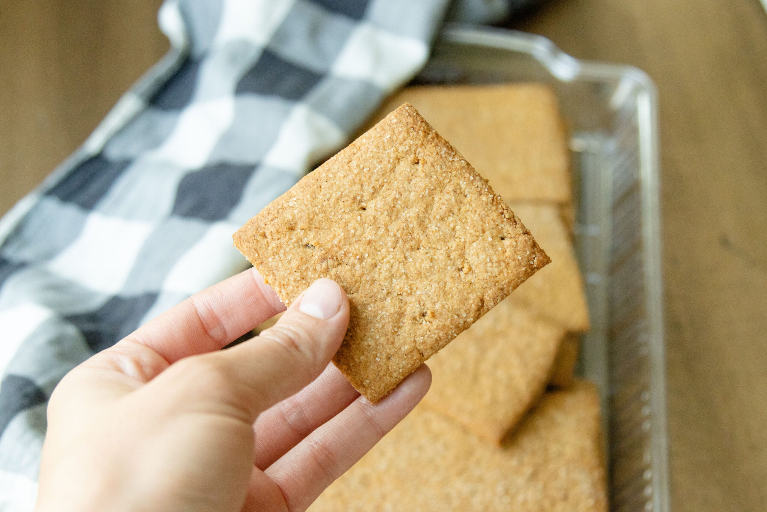 hand holding a graham cracker