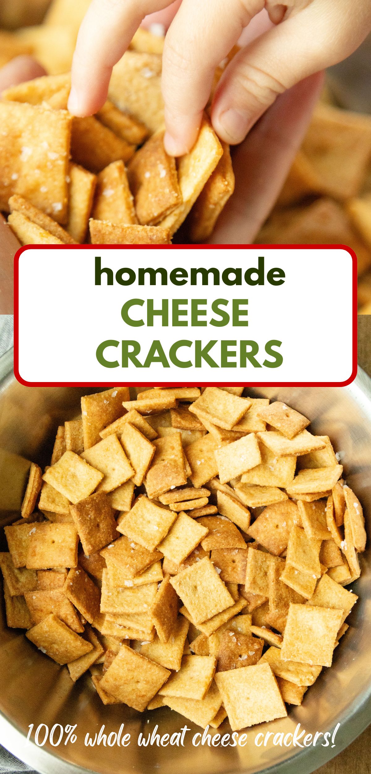 pin image for homemade cheddar cheese crackers