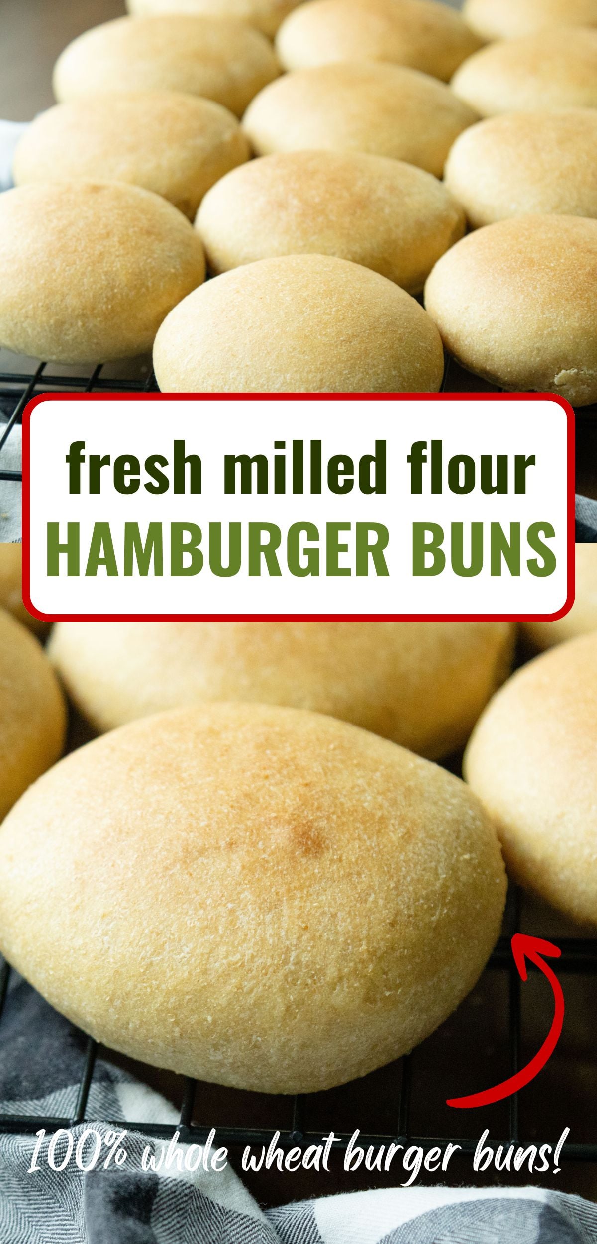 pin image for fresh milled hamburger buns recipe